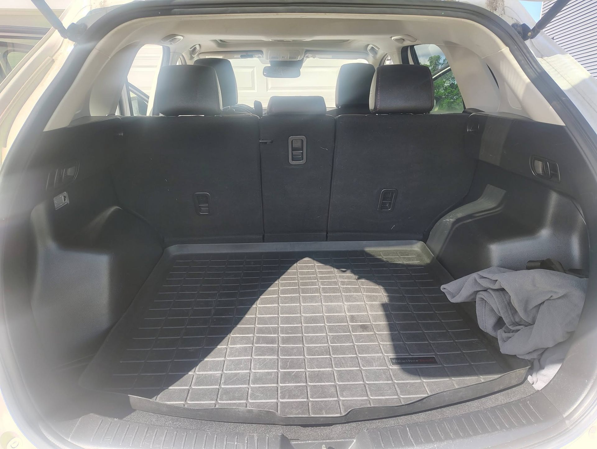Cargo & Trunk